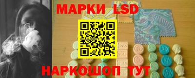 Альфа ПВП Камышлов