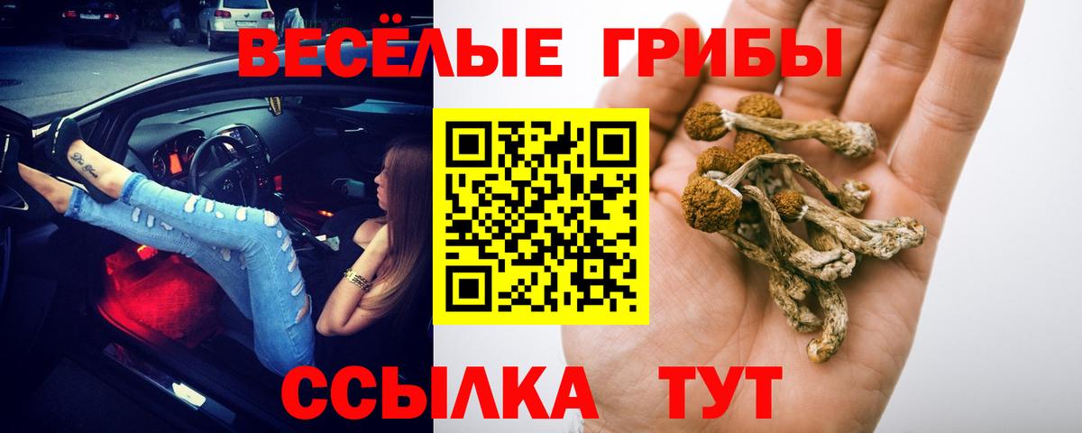 где найти наркотики  Вход с VPN  Мыски  Псилоцибиновые грибы прущие грибы  Галлюциногенные грибы Psilocybine cubensis 