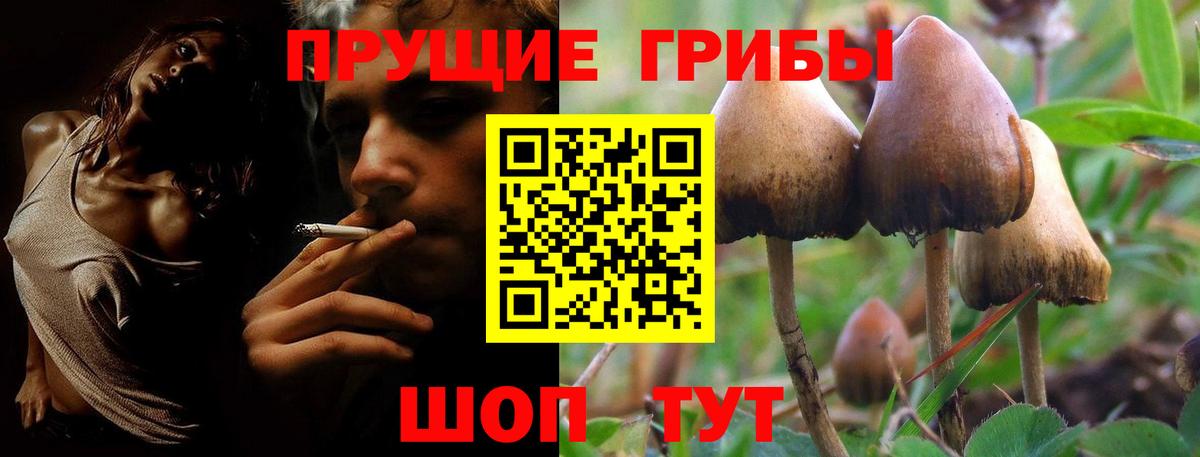 Галлюциногенные грибы Magic Shrooms Мыски